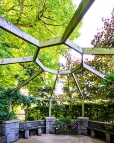 Pergola garden 