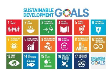 Sustainable Development